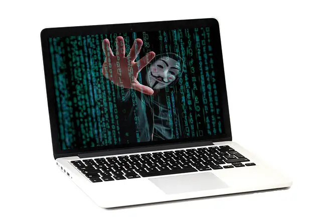 online fraud, how to stay safe online